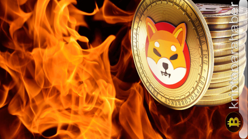 Shiba Inu fiyat analizi: Yanma aktiviteleri yüzde 128 arttı! SHIB fiyatı yükselecek mi?