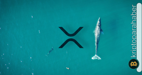 Balinalardan devasa XRP transferi: Düşüşü satın almak için doğru bir zaman mı?