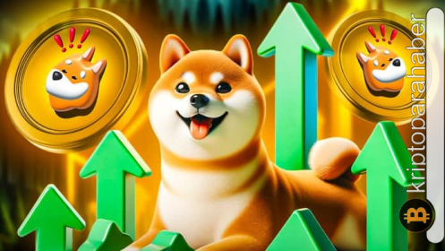 Meme coin dünyasında liderlik yarışı: BONK ve SPONGE V2 projeleri yüksek potansiyelleri ile göz dolduruyor