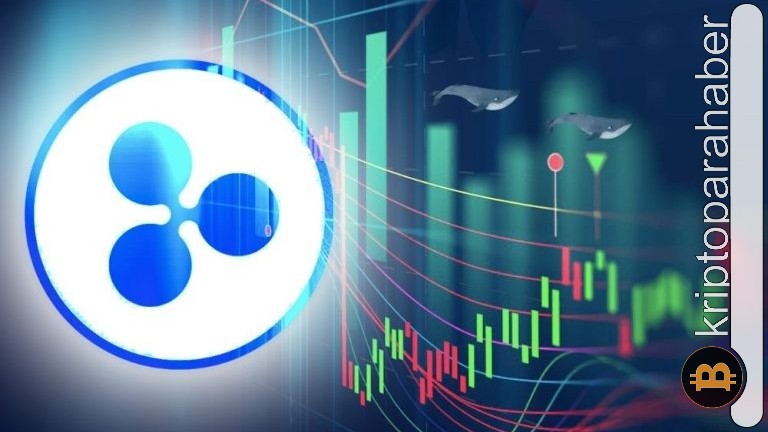 XRP balinasından dev hareket geldi! Düşüşü satın almak için doğru zaman mı?