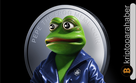 PEPE yükselişinin yol haritası: Kripto piyasasındaki değişen dinamiklere nasıl tepki verecek?