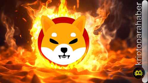 SHIB yanma oranında yüzde 1200 artış: Shıba Inu fiyatı yeni bir rekora mı gidiyor?