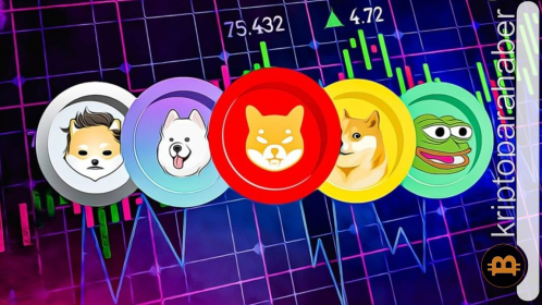 Kripto dünyasında meme coin dönemi mi başlıyor?  İşte öne çıkacak varlıklar