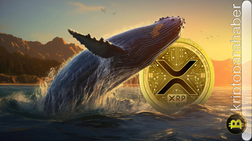 XRP balinalarından büyük hamle: 75 milyonluk transfer, XRP fiyatını nasıl etkiledi? İşte detaylar…