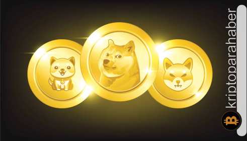 Yatırımcılarını milyoner yapan meme coin, yeni ralli için güç topluyor: Giriş için doğru zaman mı?