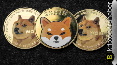 Meme coin rallisi başladı: İşte günün en çok kazanan lider meme paraları…