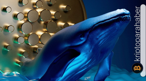 Popüler analistten Cardano yatırımcılarına uyarı: Balinaların sessizliği fiyatı dibe mi çekecek?