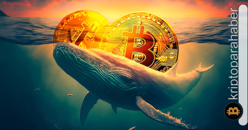 Bitcoin balinalarından halving öncesi şaşırtan hareketler: Neden satış yapıyorlar?