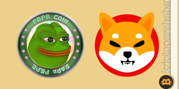 Pepe, Shiba Inu'nun yerini alabilir mi? İşte yanıtı