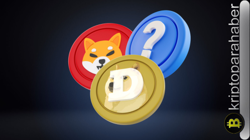 Piyasa çökerken bu Solana meme parası yüzde 924 arttı: Bir sonraki DOGE mu?