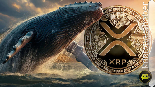 XRP fiyatı kritik desteğin altında: 0,50 doların altında ayı piyasası mı geliyor?