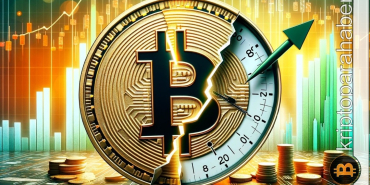 Bitcoin halving sonrasında en çok kazanan kripto para birimleri!