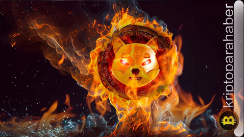 Güncel Shiba Inu yanma verileri: Yüzde 489’luk artış ve fiyat yükselmesini destekleyen faktörler