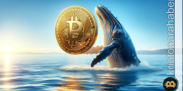 Bitcoin balinaları satış yaparken öne çıkan altcoinler hangileri?