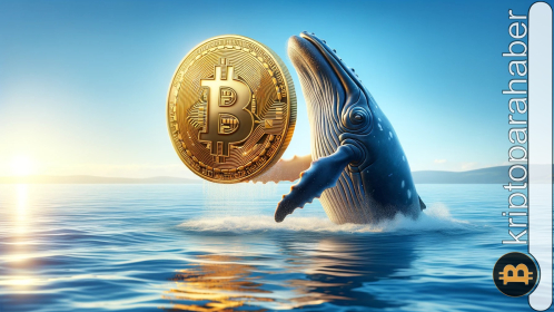 Bitcoin balinaları satış yaparken öne çıkan altcoinler hangileri?