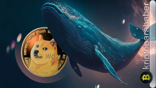 DOGE fiyatı neden düşüyor? İşte Dogecoin fiyatında yaşanan son gelişmeler