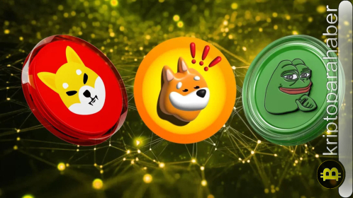 Bitcoin ayı piyasasına girerken bu meme coinler yüzde 10 kazançlı: MEW, BONE, SMOG yatırımcıya kazandırıyor…
