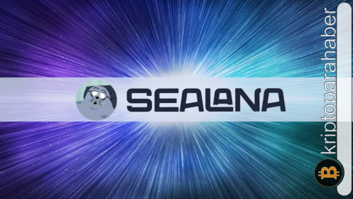 Sealana coin nedir ve nasıl alınır? SEAL token Fiyat Tahmini ve Geleceği