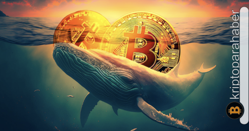 Balinaların Bitcoin ilgisi artıyor: Piyasa liderinin sıradaki hedefi 135,000 dolar olabilir mi?