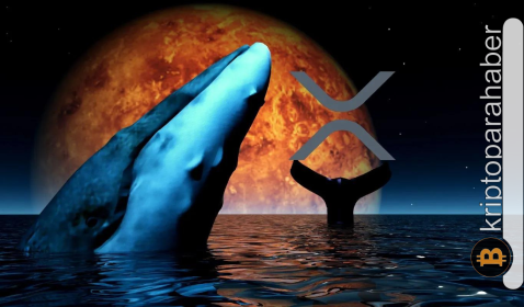Balinalardan yeni hamle: XRP fiyatı yüzde 12’lik bir ralliye hazırlanıyor