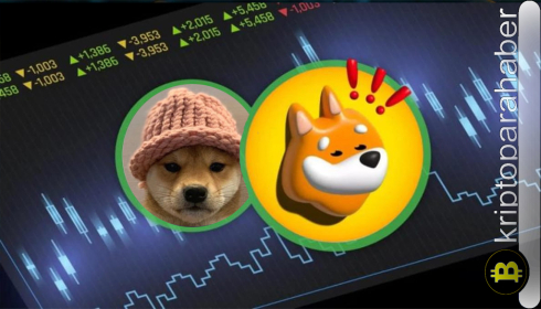 Piyasa toparlanırken patlamaya hazır bu 3 meme coini kaçırmayın!