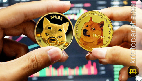 Bitcoin ETF’lerindeki çıkışlar düşüşleri hızlandırdı: DOGE ve SHIB fiyatında dip seviyesine gelindi mi?