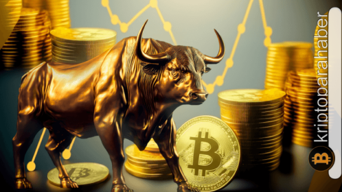 Analistler ikiye bölündü: Bitcoin için boğa piyasasının sonu mu, yoksa sıradan bir düzeltme mi?