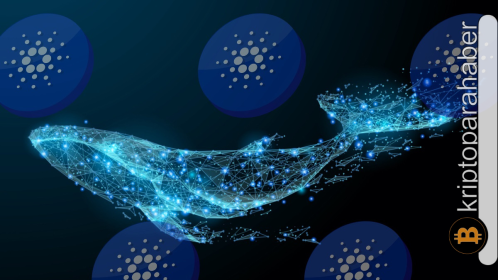 Cardano balina aktivitesindeki devasa artışla ADA fiyatı yükseliyor: Yatırımcıları gelecekte neler bekliyor?