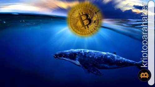 Balina adresleri birikim moduna geri mi döndü? İşte dikkat çeken veriler