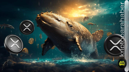 XRP fiyatı yükseliyor: Balina faaliyetleri ile 0,60 dolarlık kritik direnç aşıldı