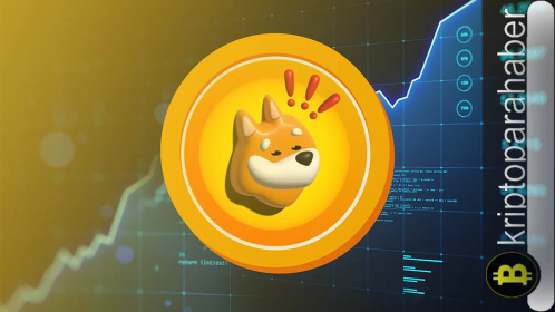 Bonk coin yorum: BONK 2025, 2026 ve 2030 fiyat geleceği