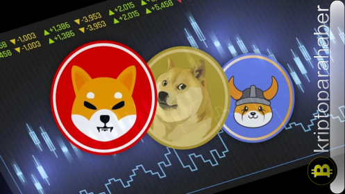 DOGE ve SHIB düşerken bu meme coin %200 yükselişe hazırlanıyor!