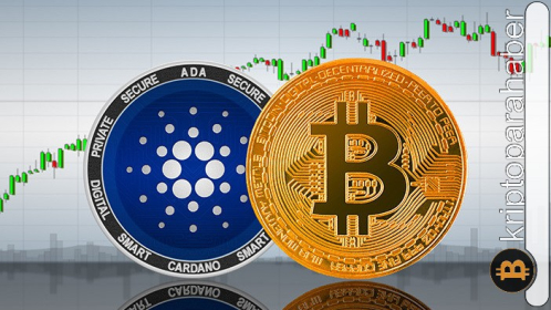 Bu altcoin Bitcoin’e rakip olabilir mi? Kripto yatırımcıları için en iyi seçenek hangisi?