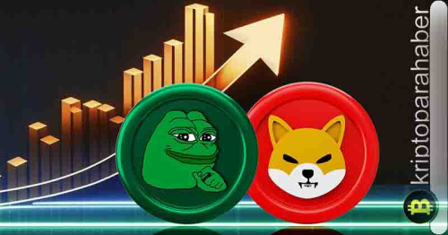 Meme coinler yüzde 5 yükseldi: Ancak PEPE ve SHIB metrikleri endişe yaratıyor!