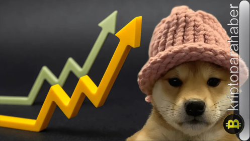 Dogwifhat balinaları güçleniyor: WIF yükselirken PlayDoge son etapta