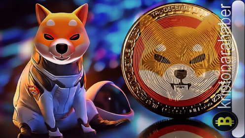 SHIB fiyatı endişe yaratırken Shiba Inu yöneticisi bu coinleri önerdi