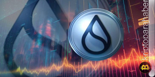 Boğa sinyali veren 2 altcoin: SUI fiyatı düşerken NEAR yükselişi sürdürüyor!