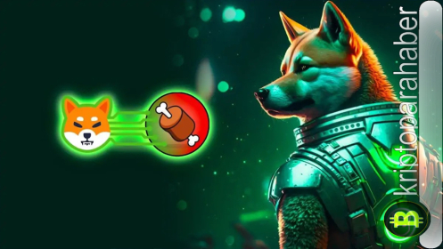 SHIB yatırımcısı iyimser: Shibarium güncellemeleri yeni bir ralliyi tetikleyebilir mi?