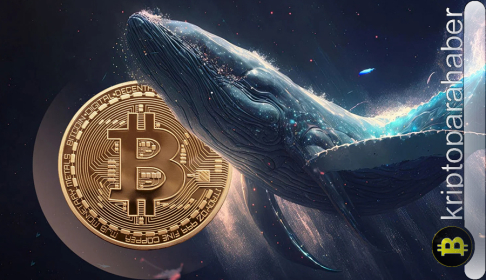 Bitcoin balina cüzdanlarında tarihi büyüme: BTC fiyatı 100 bin dolarlık çıkışa mı hazırlanıyor?