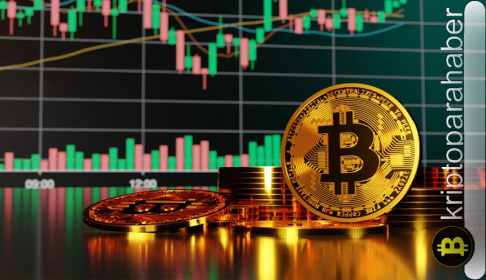 Bitcoin’e sosyal ilgi artıyor: BTC fiyatı yükselirken altcoinler neden düşüyor?