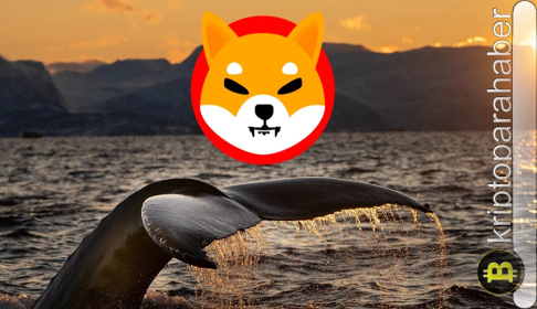 Meme coinler düşüyor: SHIB momentum kaybederken POPCAT balinaları bu tokenlara yöneldi