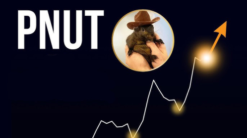 Peanut the Squirrel (PNUT) fiyat tahmini: PNUT coin 2024-2025 ve 2030 fiyat geleceği