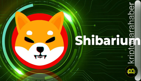 Shiba Inu yanma oranında büyük artış: Analist SHIB fiyatında %200 yükseliş bekliyor