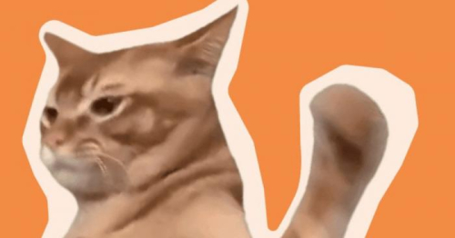 SLAP token fiyat tahmini: CatSlap %20 artışla meme coinleri geride bıraktı!