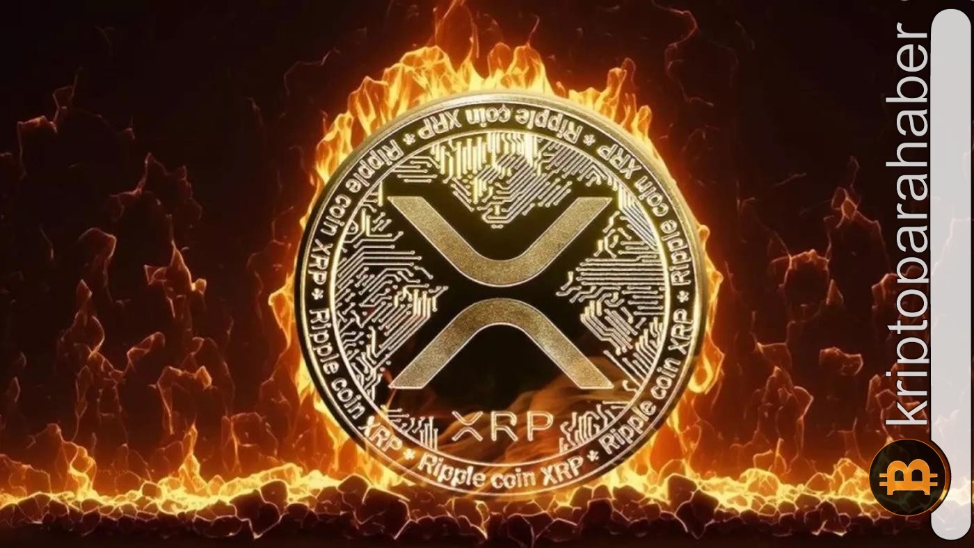 XRP balinaları durmuyor! Satın almak için hâlâ doğru zaman mı?