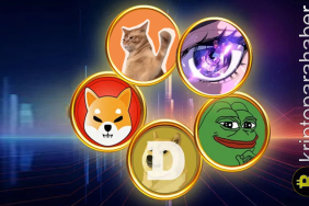 Kripto piyasası yeniden yükselişe geçti! Meme coinler sahneye geri dönüyor!