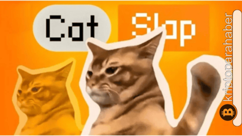 CatSlap yatırımcıların yeni gözdesi oldu: SLAP tokenları neden dikkat çekiyor?