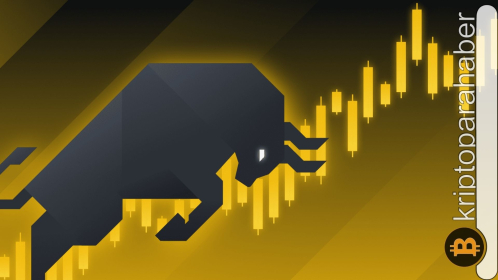 Binance Coin (BNB), güçlü alım dalgası ile yükseliyor: 800 dolara giden yolun ayrıntıları