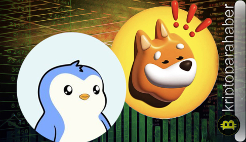 BONK ve PENGU yükselişte: İki meme coin Solana ekosistemine liderlik ediyor