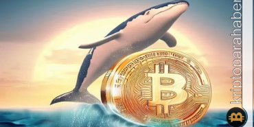 Balina adresleri düşüşü satın aldı! İşte dikkat çeken veriler